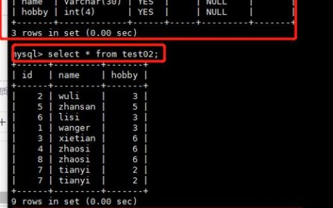 如何在SQL语句中为MySQL数据库添加参数？