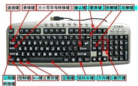 如何在计算机中查找鼠标右键的属性设置？