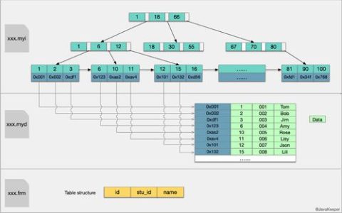 如何配置MySQL数据库的搜索路径？