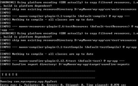 如何有效进行Maven项目中的JUnit测试？