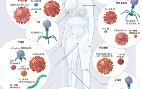病毒潜伏的秘密角落，哪些地方最可能成为它们的藏身之所？