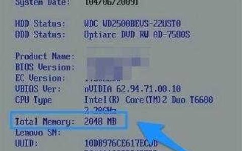 如何在BIOS设置中查看内存大小？