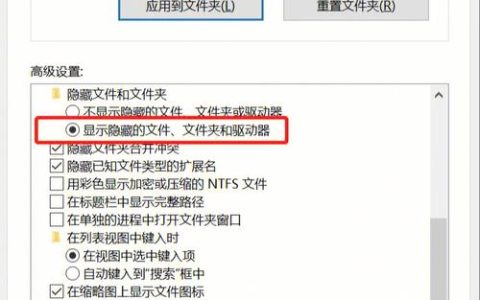 为什么U盘显示有空间但文件却不可见？