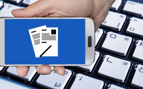 如何查找Windows 10中的MAC地址?