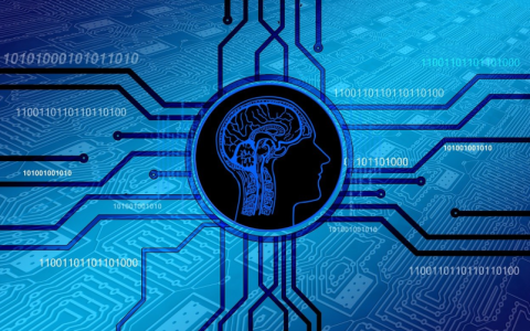 如何在我的电脑上查找当前的屏幕分辨率？