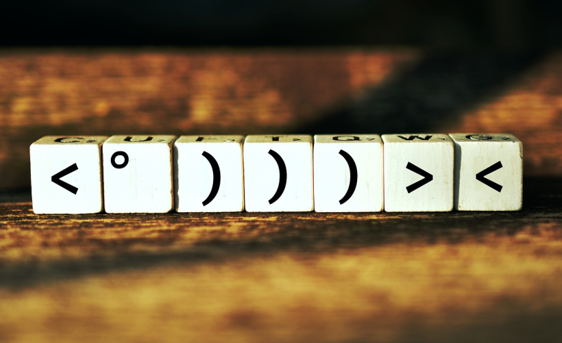 CDN在网络术语中代表了什么含义？