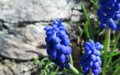 如何在新安装的Windows 10系统中添加桌面图标？