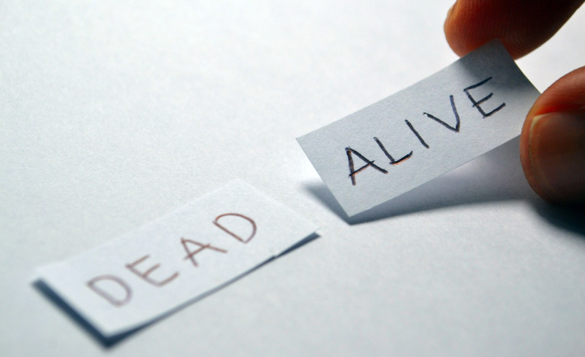 百度云CDN赚钱宝的收益计算方法是怎样的？