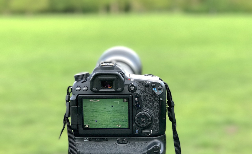 打印机规格中的CDN与CDW代表什么含义，它们之间有何差异？