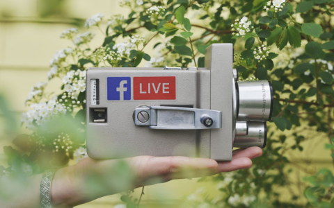 如何操作才能在电视上播放插入的U盘内容？