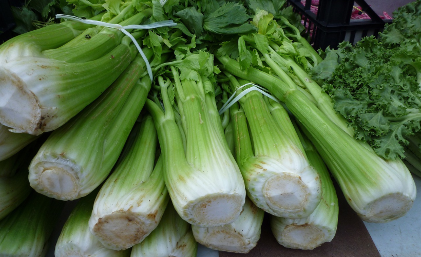 大白菜软件究竟应该安装在哪个位置？