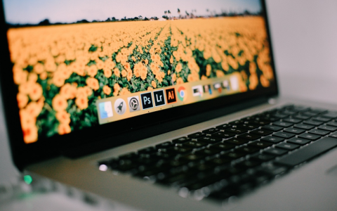 如何查看并打开电脑中的显卡设置?