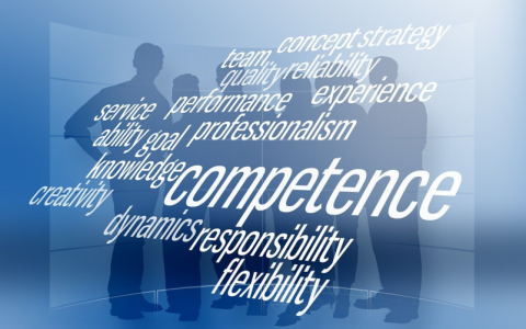 CDN文库与金组文库在功能上有何不同?