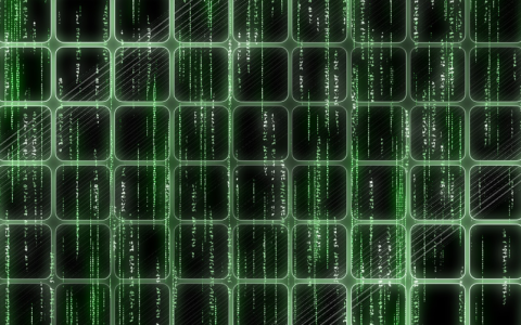 高防CDN和高防服务器在网络防御中有何不同？