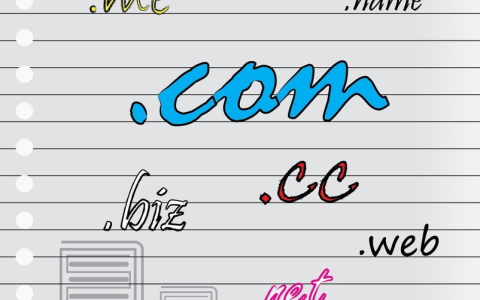 在为动态网站选择内容分发网络（CDN）和服务器负载均衡器（SLB）时，哪个更适合提升性能和用户体验？