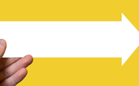 在构建一个Vue项目时，应该选择使用CDN还是NPM进行前后端分离？