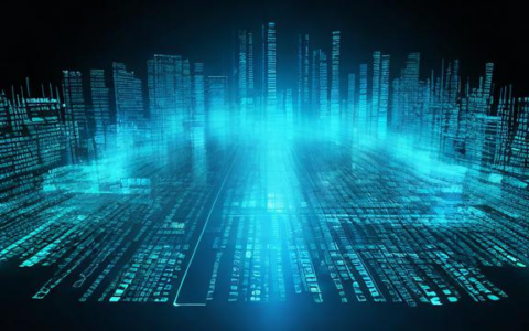 如何安全地管理和保护服务器中的源码？