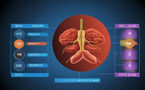负载均衡器如何调节内分泌？其原理与效果如何？