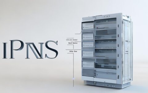 服务器 dns 地址