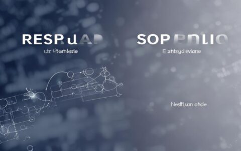 api接口界面