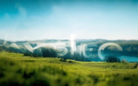 数据库如何建立表关系图？新手必看的详细步骤与工具推荐