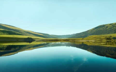 浙江专业服务器虚拟主机哪家服务稳定性价比高？