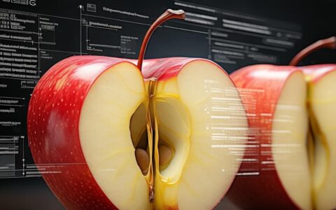 苹果分区数据库提取步骤是什么?数据恢复方法有哪些?