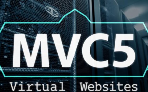 支持mvc5的虚拟主机怎么选？配置要求与推荐方案有哪些？