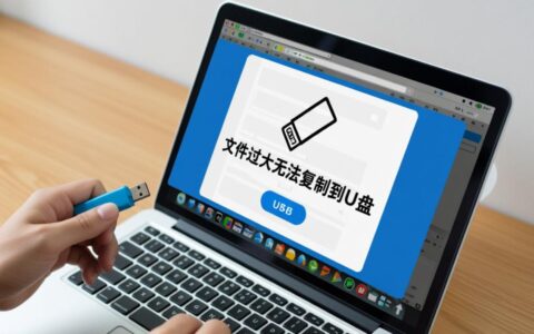 u盘文件过大无法复制怎么办？解决方法有哪些？