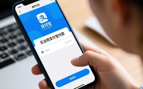 为什么无法用支付宝付款？问题出在哪？