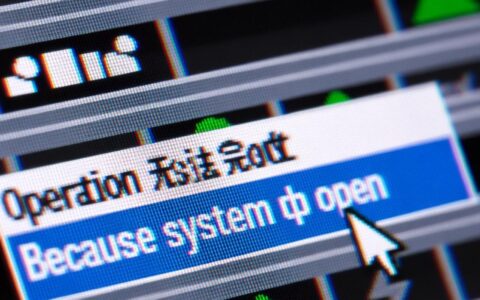 操作无法完成因已在system中打开怎么办？