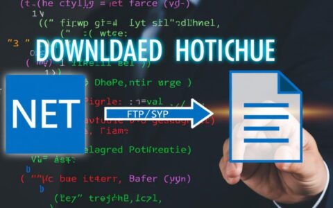 net源码怎么下载到虚拟主机？新手操作步骤详解