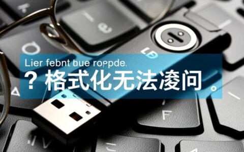 u盘格式化后无法访问怎么办？数据还能恢复吗？