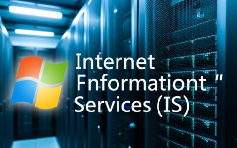 iis配置静态网站时，如何解决常见报错与优化加载速度？