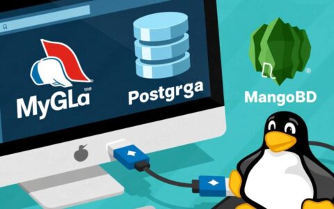 Linux 怎么连接数据库？不同数据库连接方式有哪些？