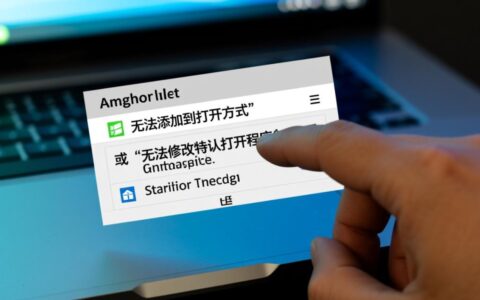 文件无法添加到打开方式，修改默认程序设置失败怎么办？