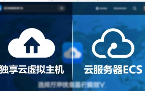 独享云虚拟主机和ECS，究竟该如何选择？