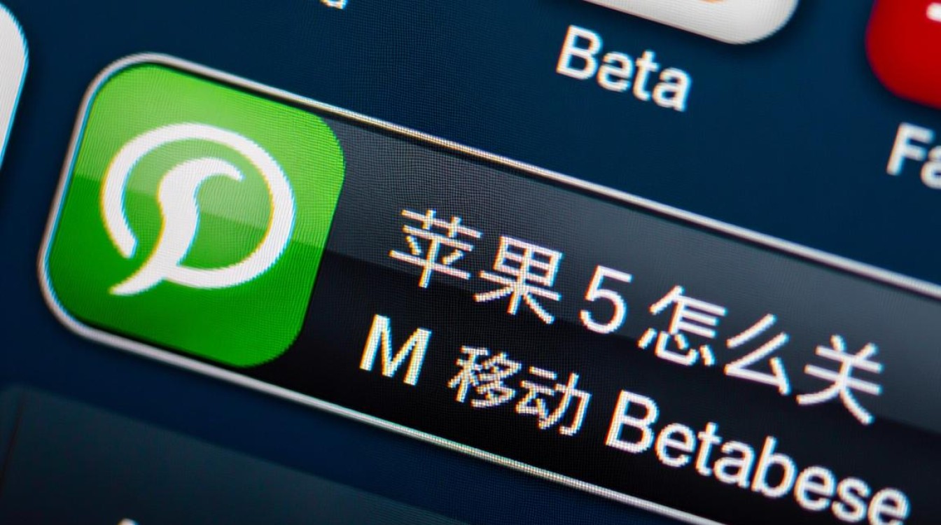 苹果5的移动数据库指的是什么，到底怎么关闭？