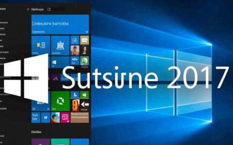 VS2017创建数据库的具体操作步骤是什么？