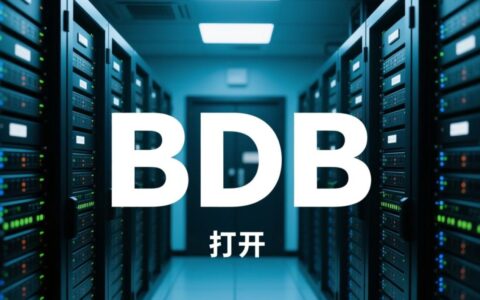 bdb数据库文件不知道怎么打开，需要用什么工具？