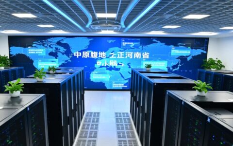 河南服务器存储虚拟主机租用时到底应该要怎么选才最稳定？