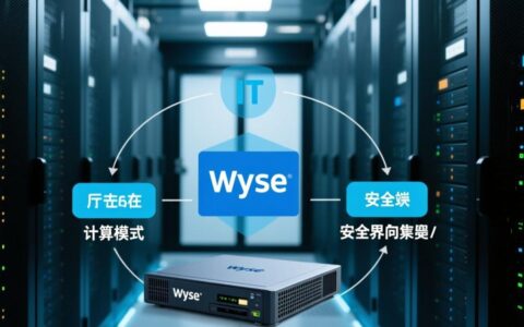 wyse服务器终端连不上服务器是什么原因怎么解决？