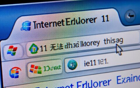 IE11无法显示此页是什么原因，要怎么解决？