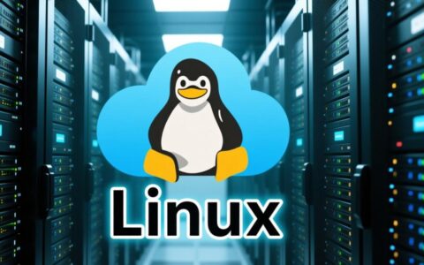 如何为中小企业选择最合适的开源Linux服务器？