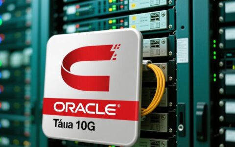 新手如何在Windows系统上图文安装Oracle 10g数据库？