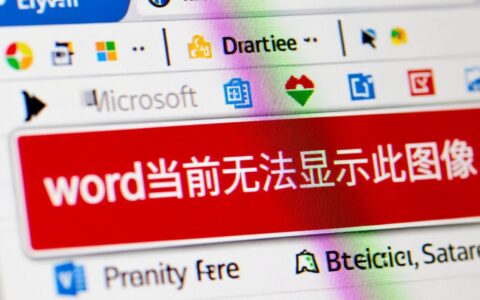 Word提示当前无法显示此图像，要如何彻底解决？