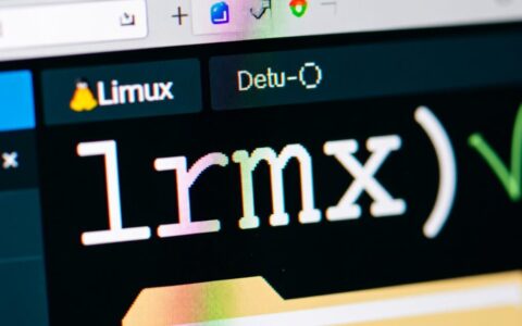 Linux文件删除报错怎么办？如何排查权限和占用问题？