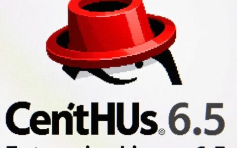 CentOS 6.5简单版真的适合新手入门学习吗？