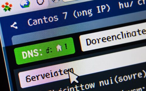 求助，CentOS 7系统下更改DNS永久生效的具体步骤是什么？
