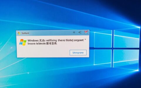 Windows无法验证数字签名提示错误是什么原因导致的又该如何修复？